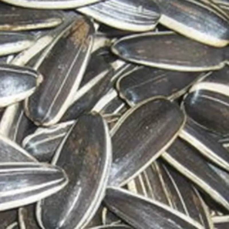 Sunflower Seeds