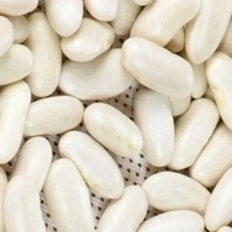 White Kidney Bean