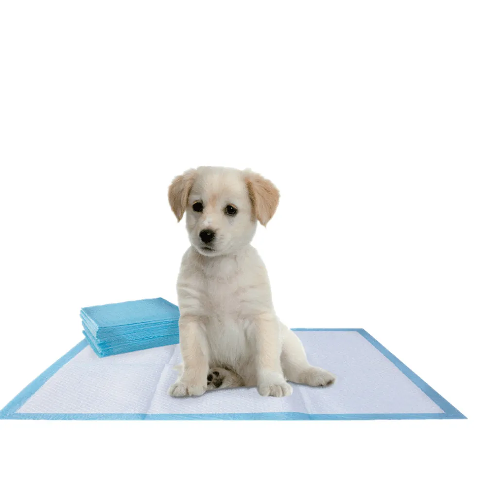 Disposable pet training mat sheet