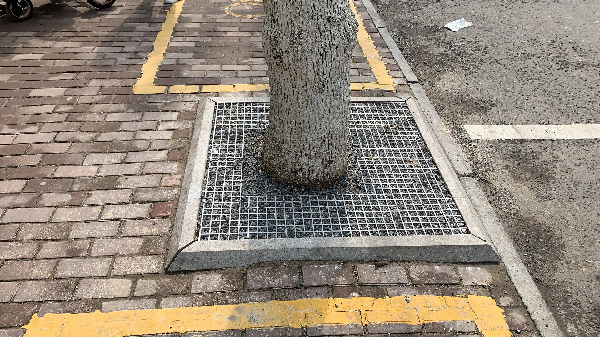 Application Of Fiberglass Tree Grate