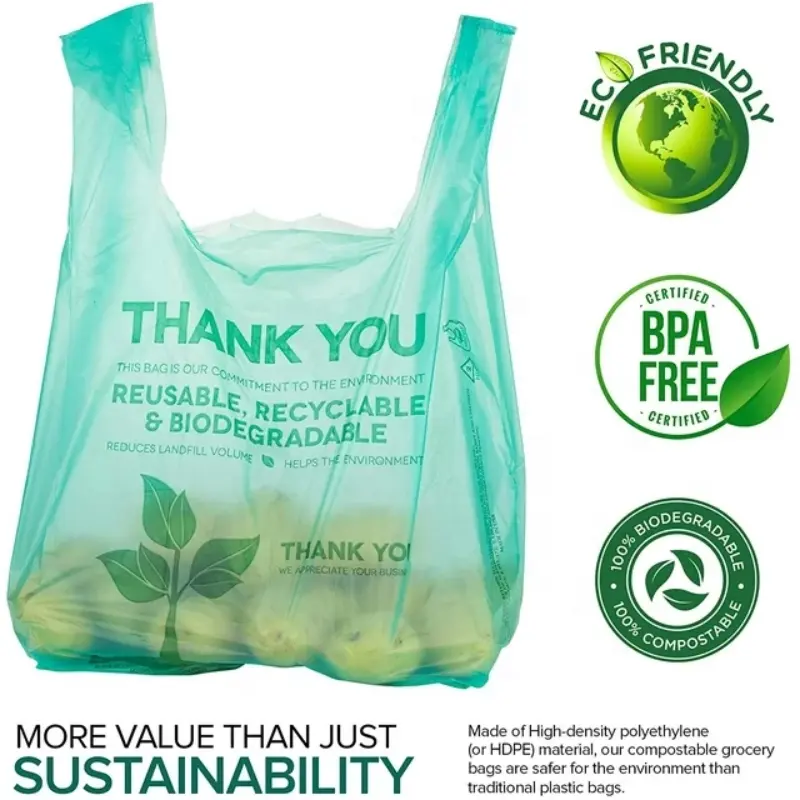 Biodegradable Plastic Bag | Eco-Friendly Retail & Gift Bag