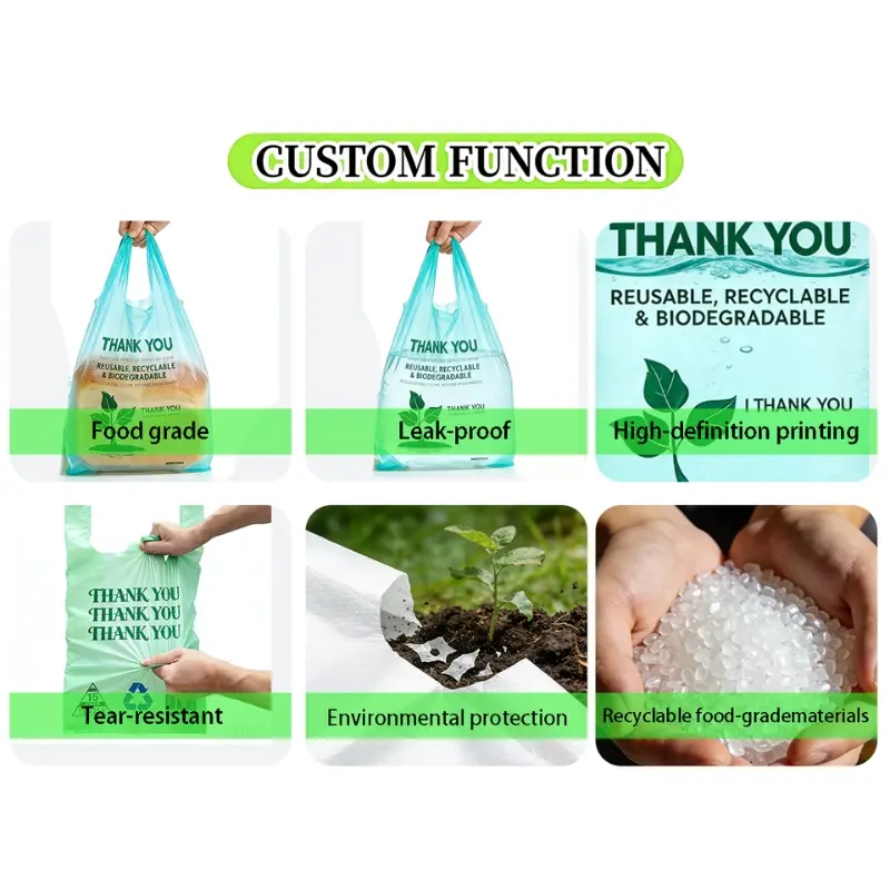 Biodegradable Plastic Bag | Eco-Friendly Retail & Gift Bag