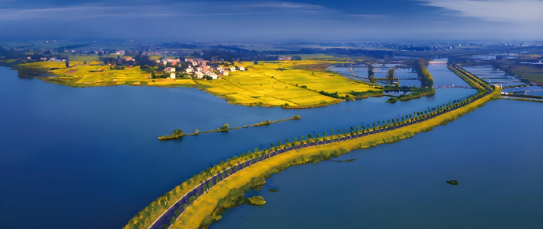 阜阳市农村公路基础数据调查更新服务