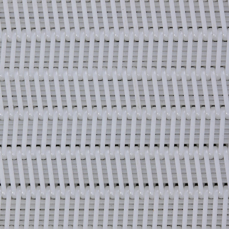 Polyester spiral mesh belt