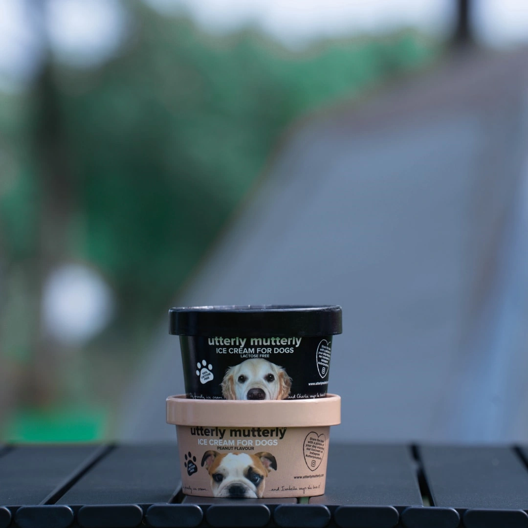 eco friendly ice cream cups