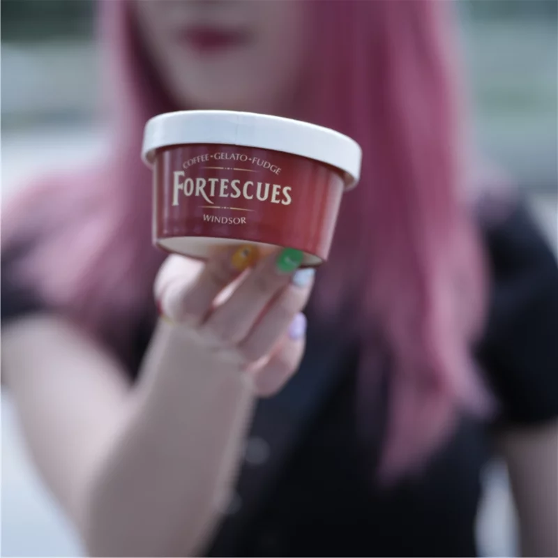 ice cream cup packaging