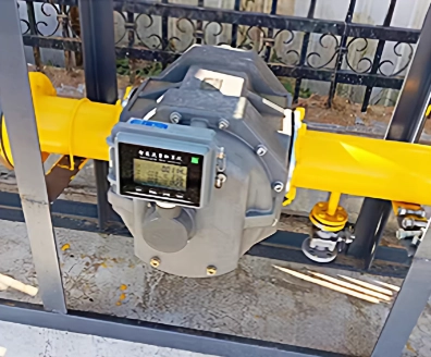 Roots Flow Meter