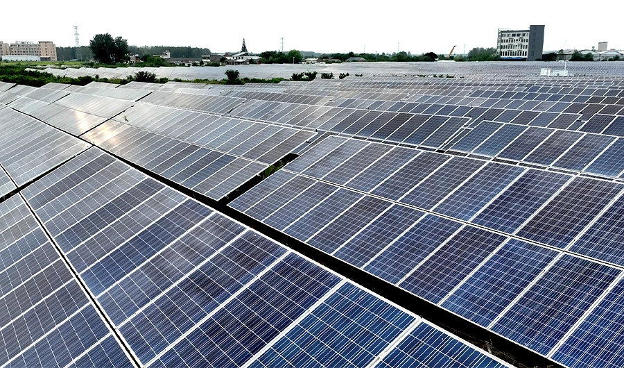 modules solaires photovoltaïques en gros