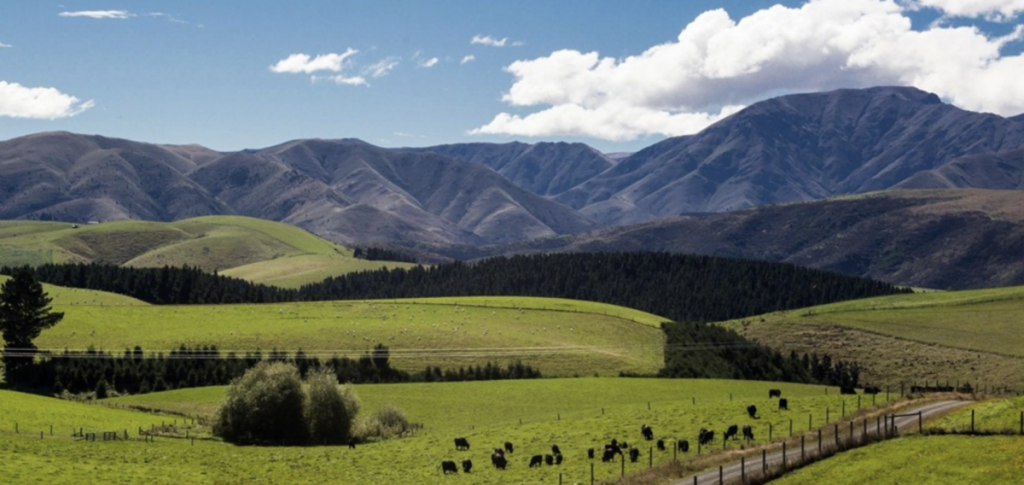 New Zealand approves 200 MWh solar-plus-storage project