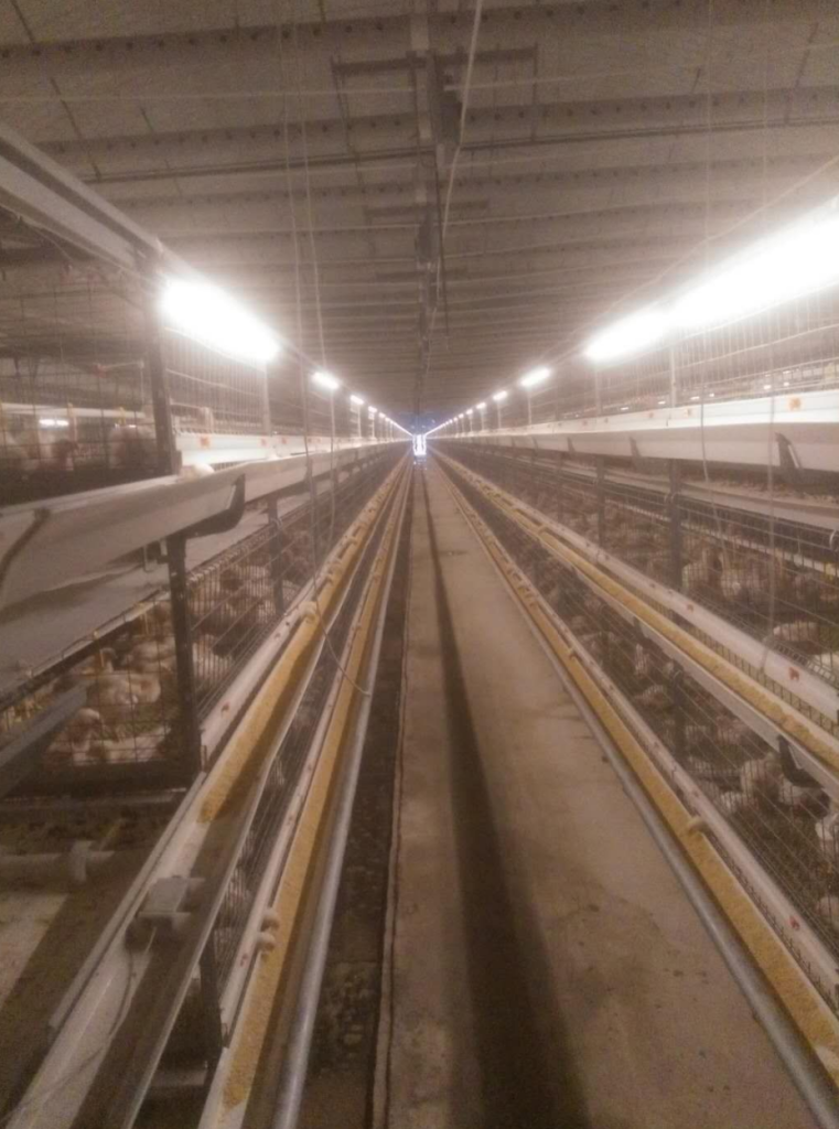 不同工况下料塔称重传感器选型指南
