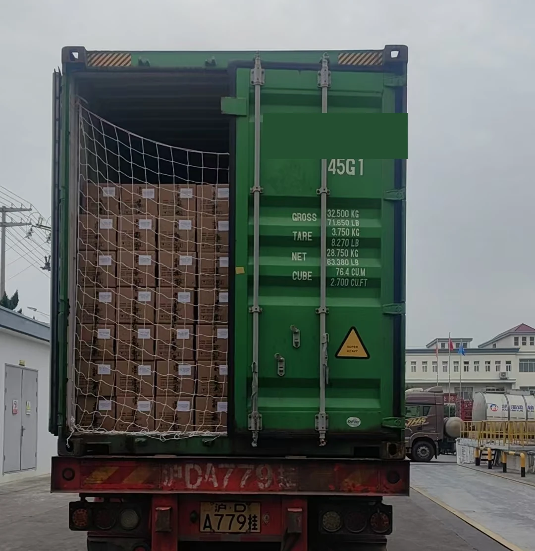 Vista trasera del contenedor cargado que muestra las cajas apiladas hasta el techo detrás de una red de sujeción de carga.